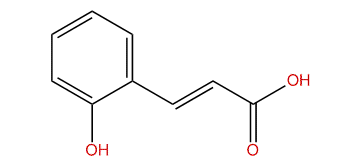 3-(2-Hydroxyphenyl)-2-propenoic acid